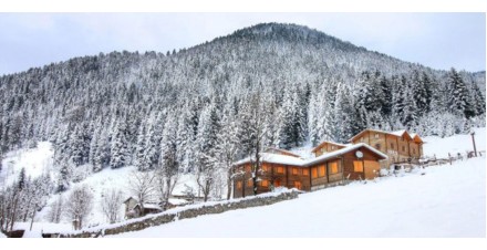 Ayder Yaylası bungalov evleri yılbaşı tatili için ilgi görüyor
