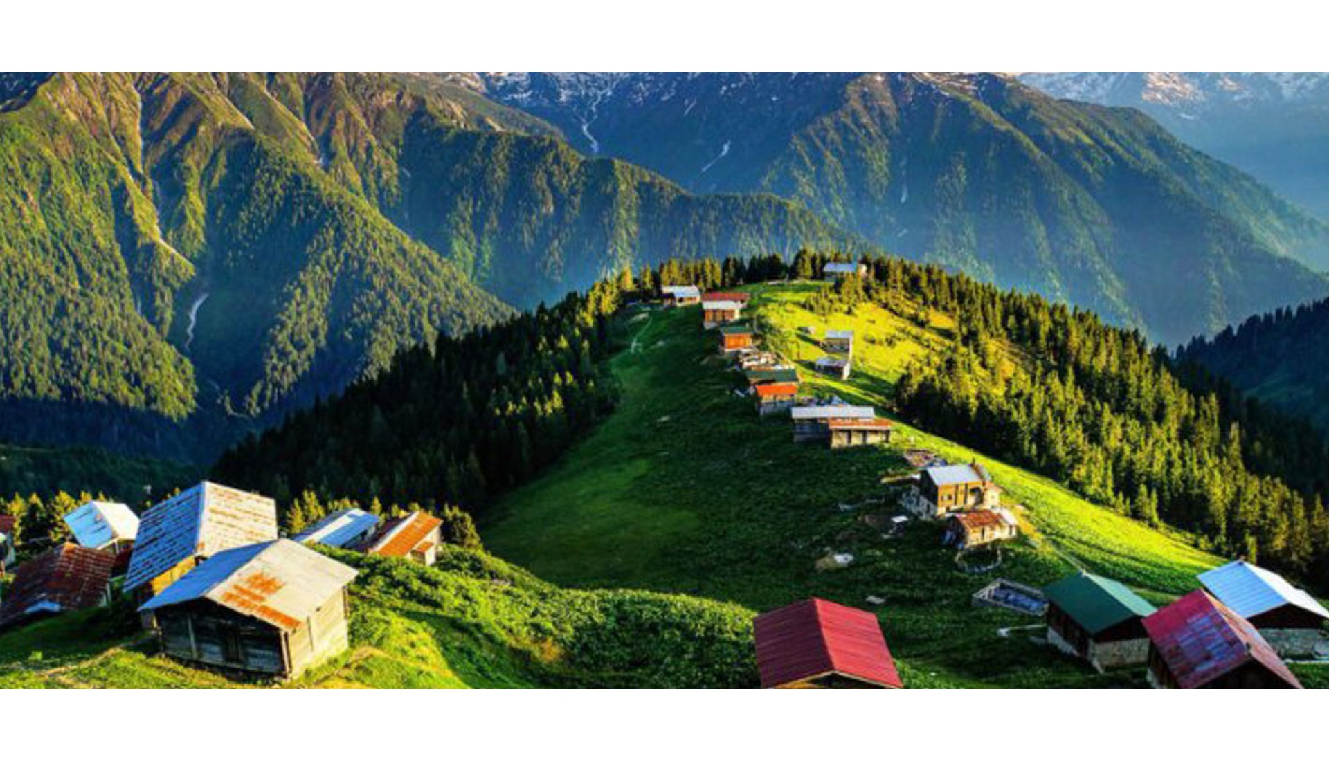 Karadeniz'de doğa tutkunlarının vazgeçilmezi Pokut ve Sal Yaylası