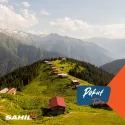 Pokut & Sal Turu
